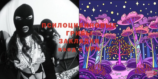 ешки Богданович