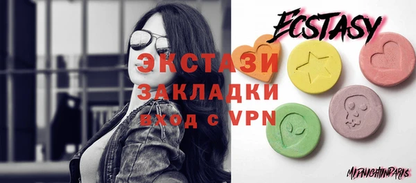 ECSTASY Богородицк