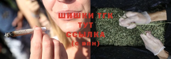 ECSTASY Богородицк