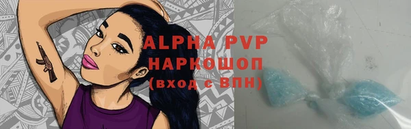 ECSTASY Богородицк