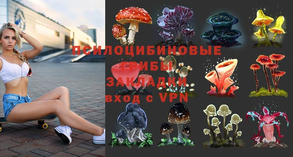 ешки Богданович