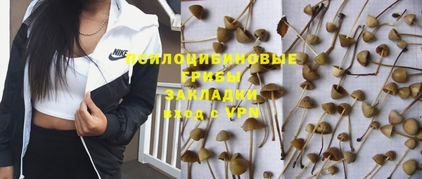 прущий лед Богородск