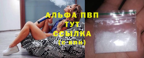 ешки Богданович