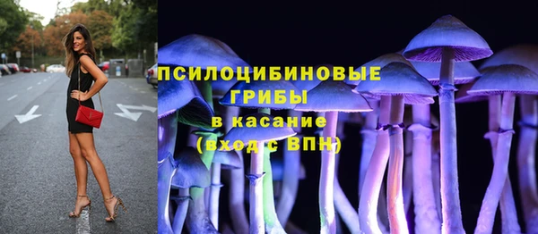 ешки Богданович