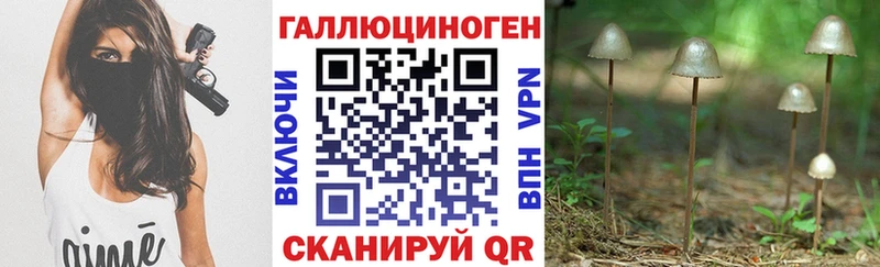 как найти закладки Корсаков Псилоцибиновые грибы мицелий